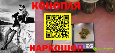 шишки Моздок