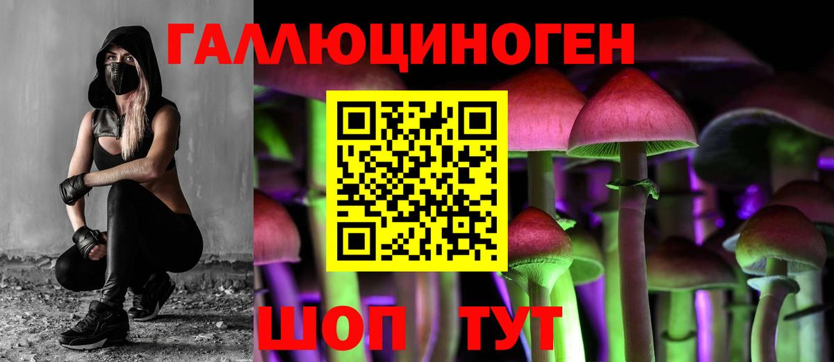 Псилоцибиновые грибы GOLDEN TEACHER  Псилоцибиновые грибы Psilocybe  Вход с VPN  Чайковский 